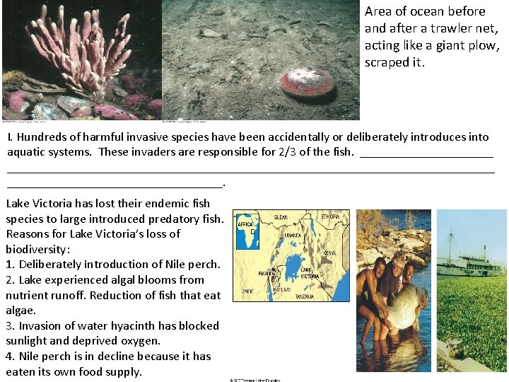 Area of ocean before and after a trawler net, acting like a giant plow,