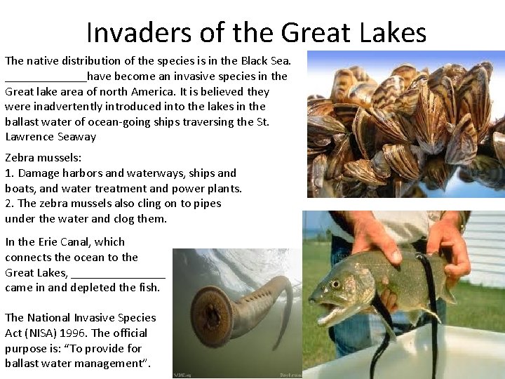 Invaders of the Great Lakes The native distribution of the species is in the