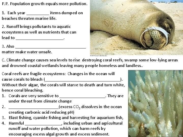 P. P. Population growth equals more pollution. 1. Each year _____ items dumped on