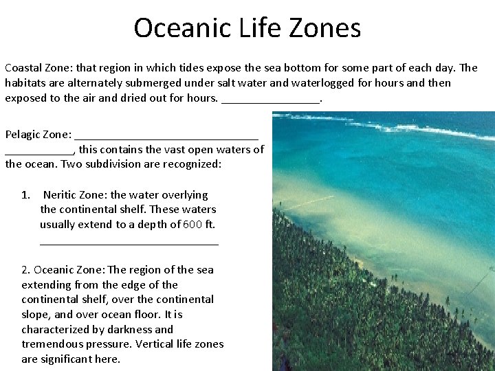 Oceanic Life Zones Coastal Zone: that region in which tides expose the sea bottom