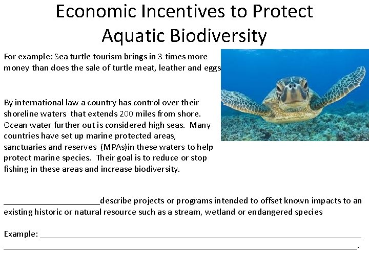 Economic Incentives to Protect Aquatic Biodiversity For example: Sea turtle tourism brings in 3