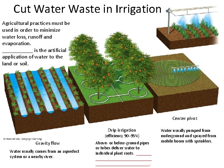 Cut Water Waste in Irrigation Agricultural practices must be used in order to minimize