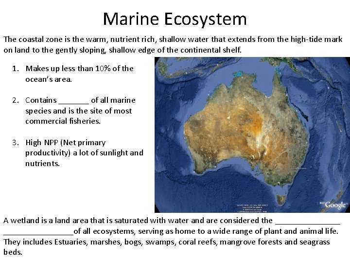 Marine Ecosystem The coastal zone is the warm, nutrient rich, shallow water that extends