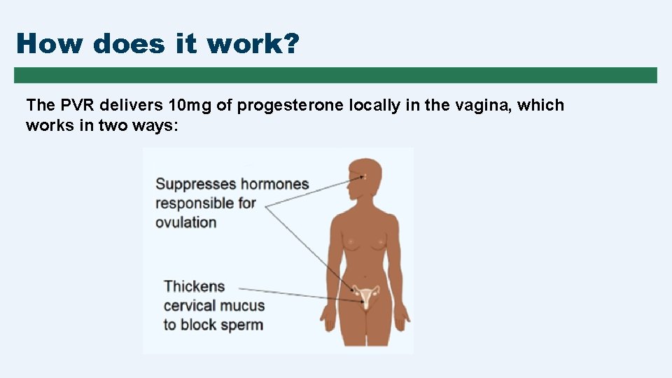 How does it work? The PVR delivers 10 mg of progesterone locally in the
