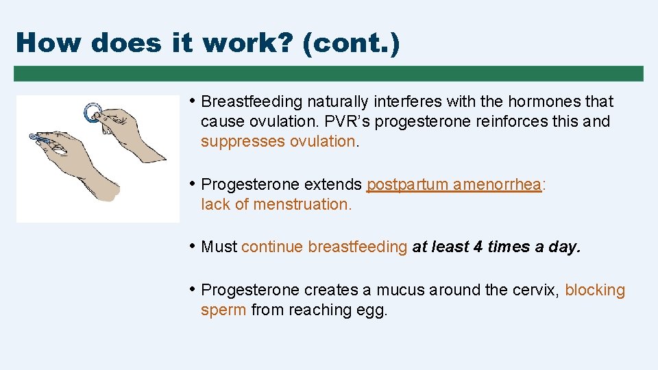 How does it work? (cont. ) • Breastfeeding naturally interferes with the hormones that