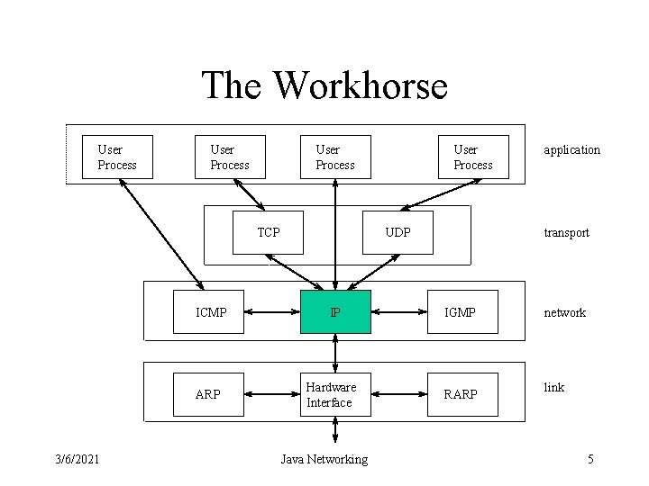 The Workhorse User Process TCP 3/6/2021 User Process UDP transport ICMP IP IGMP ARP