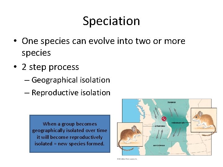 Speciation • One species can evolve into two or more species • 2 step