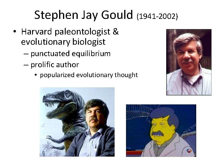 Stephen Jay Gould (1941 -2002) • Harvard paleontologist & evolutionary biologist – punctuated equilibrium