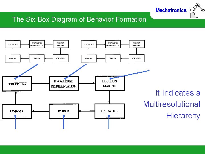 The Six-Box Diagram of Behavior Formation It Indicates a Multiresolutional Hierarchy 
