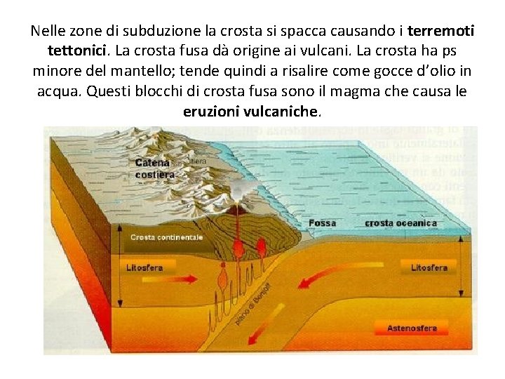 Nelle zone di subduzione la crosta si spacca causando i terremoti tettonici. La crosta
