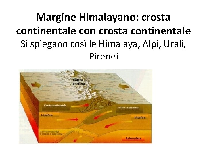 Margine Himalayano: crosta continentale con crosta continentale Si spiegano così le Himalaya, Alpi, Urali,