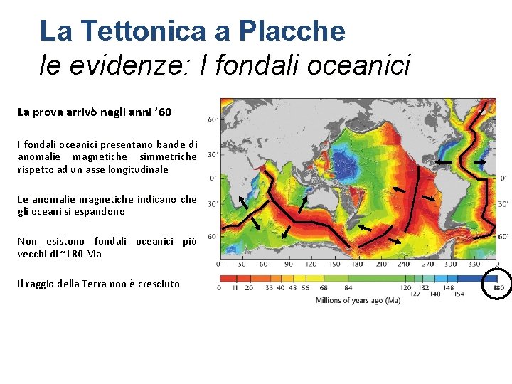 La Tettonica a Placche le evidenze: I fondali oceanici La prova arrivò negli anni