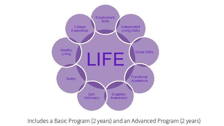 Employment Skills College Experience Healthy Living Independent Living Skills LIFE Social Skills Functional Academics