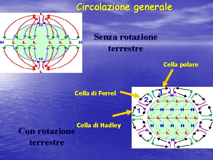 Circolazione generale Senza rotazione terrestre Cella polare Cella di Ferrel Con rotazione terrestre Cella