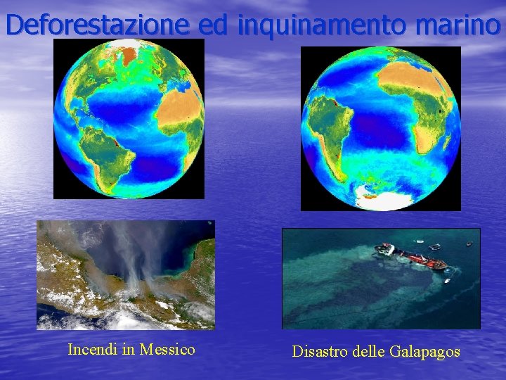Deforestazione ed inquinamento marino Incendi in Messico Disastro delle Galapagos 