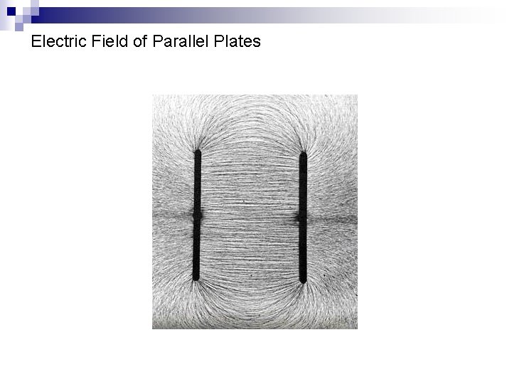 Electric Field of Parallel Plates 