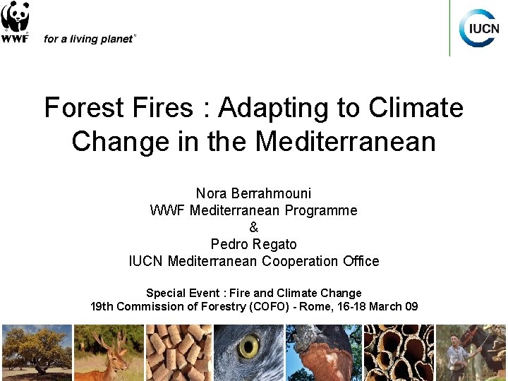 Forest Fires : Adapting to Climate Change in the Mediterranean Nora Berrahmouni WWF Mediterranean