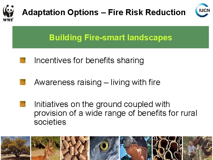 Adaptation Options – Fire Risk Reduction Building Fire-smart landscapes Incentives for benefits sharing Awareness