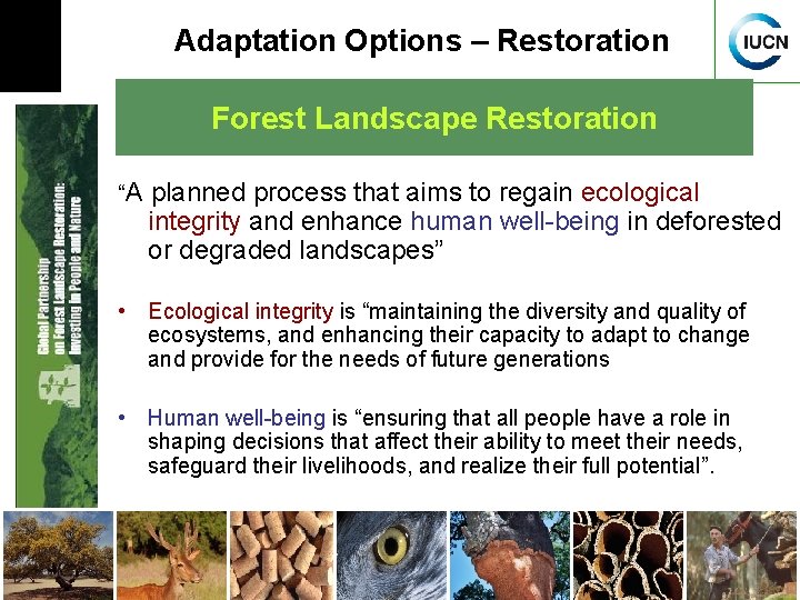 Adaptation Options – Restoration Forest Landscape Restoration “A planned process that aims to regain