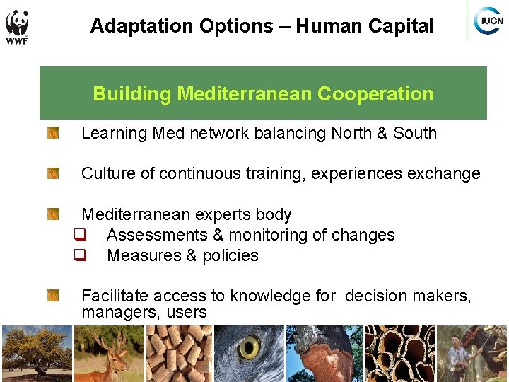 Adaptation Options – Human Capital Building Mediterranean Cooperation Learning Med network balancing North &