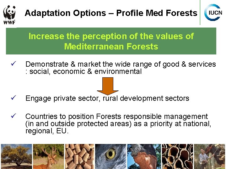 Adaptation Options – Profile Med Forests Increase the perception of the values of Mediterranean