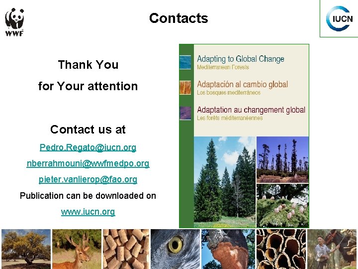 Contacts Thank You for Your attention Contact us at Pedro. Regato@iucn. org nberrahmouni@wwfmedpo. org