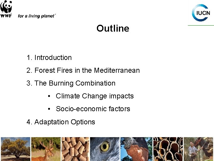 Outline 1. Introduction 2. Forest Fires in the Mediterranean 3. The Burning Combination •