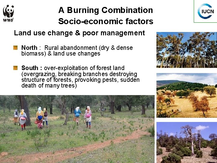 A Burning Combination Socio-economic factors Land use change & poor management North : Rural