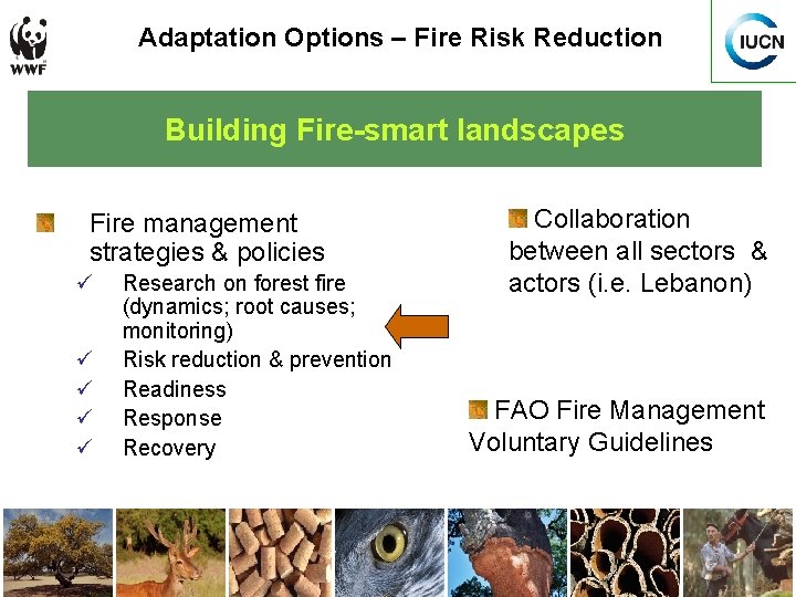 Adaptation Options – Fire Risk Reduction Building Fire-smart landscapes Fire management strategies & policies