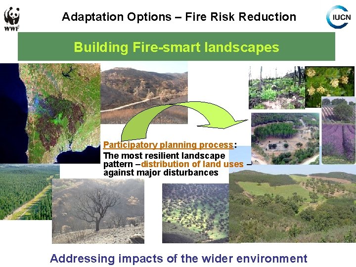 Adaptation Options – Fire Risk Reduction Building Fire-smart landscapes Participatory planning process: The most