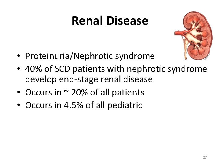 Renal Disease • Proteinuria/Nephrotic syndrome • 40% of SCD patients with nephrotic syndrome develop