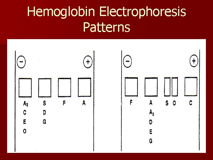 Hemoglobin Electrophoresis Patterns 