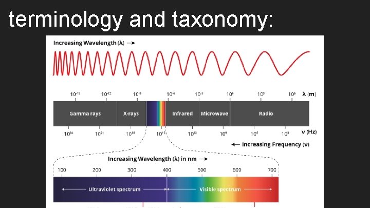 terminology and taxonomy: 