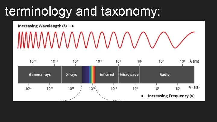 terminology and taxonomy: 