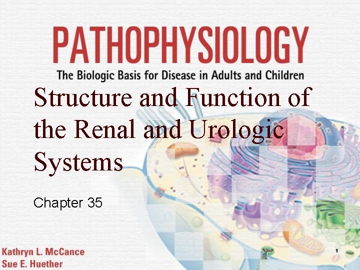 Structure and Function of the Renal and Urologic Systems Chapter 35 1 