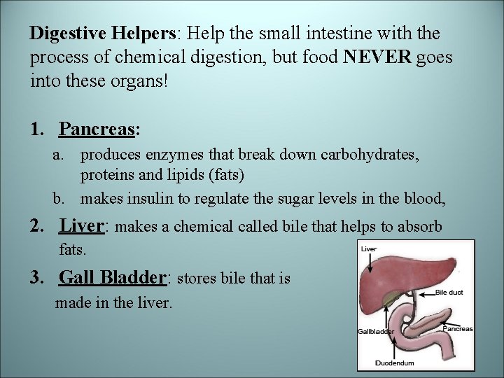 Digestive Helpers: Help the small intestine with the process of chemical digestion, but food