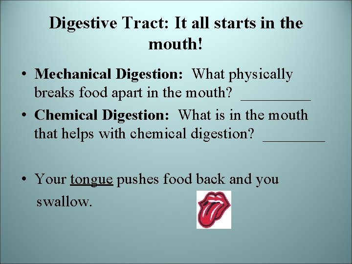 Digestive Tract: It all starts in the mouth! • Mechanical Digestion: What physically breaks