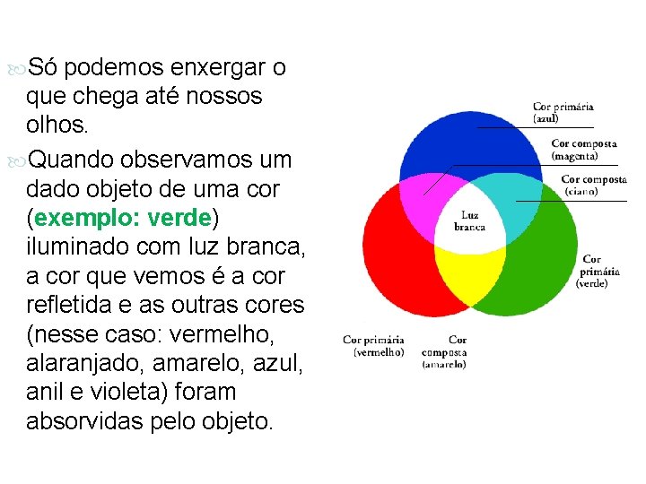 Só podemos enxergar o que chega até nossos olhos. Cores Quando observamos um Só podemos enxergar o que chega até nossos olhos. Cores Quando observamos um