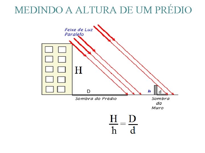 MEDINDO A ALTURA DE UM PRÉDIO MEDINDO A ALTURA DE UM PRÉDIO