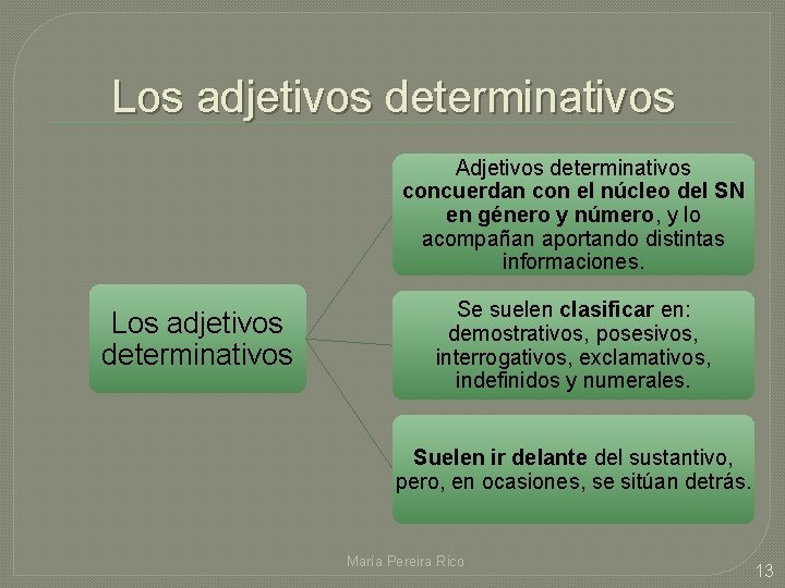 Los adjetivos determinativos Adjetivos determinativos concuerdan con el núcleo del SN en género y