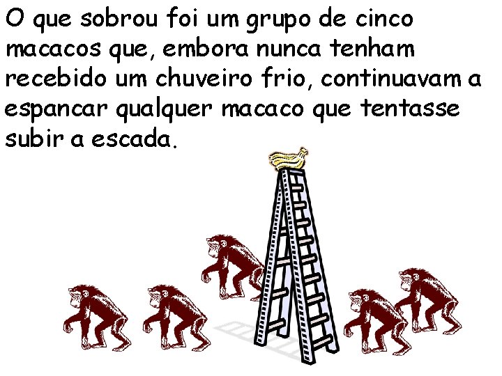 O que sobrou foi um grupo de cinco macacos que, embora nunca tenham recebido