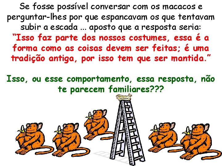 Se fosse possível conversar com os macacos e perguntar-lhes por que espancavam os que