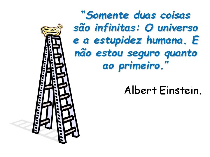 “Somente duas coisas são infinitas: O universo e a estupidez humana. E não estou