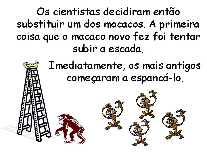 Os cientistas decidiram então substituir um dos macacos. A primeira coisa que o macaco