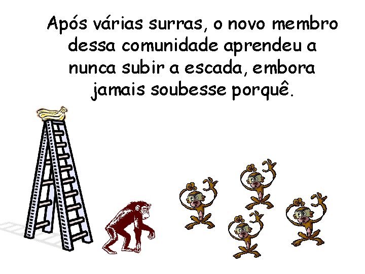 Após várias surras, o novo membro dessa comunidade aprendeu a nunca subir a escada,