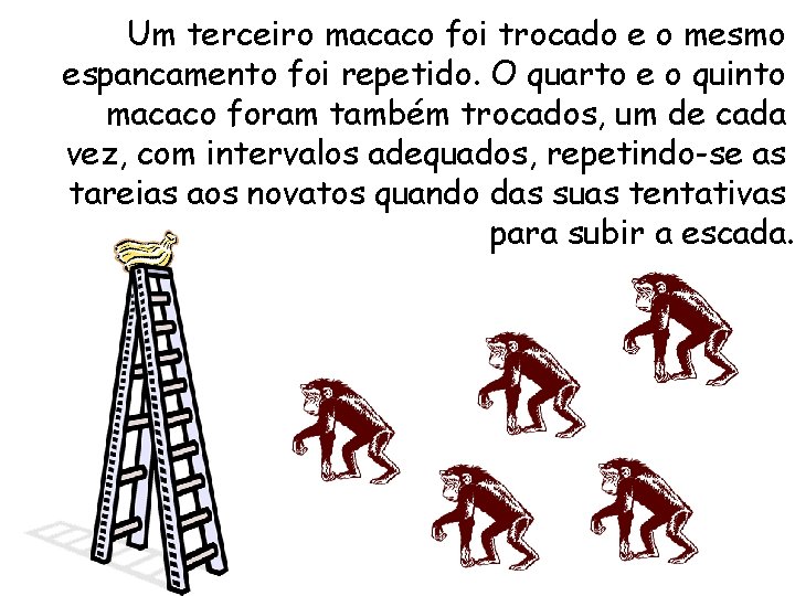 Um terceiro macaco foi trocado e o mesmo espancamento foi repetido. O quarto e