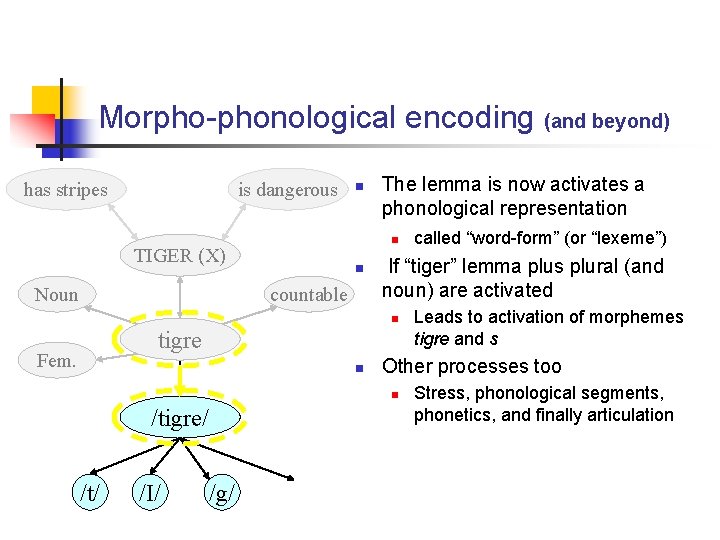 Morpho-phonological encoding (and beyond) has stripes is dangerous The lemma is now activates a