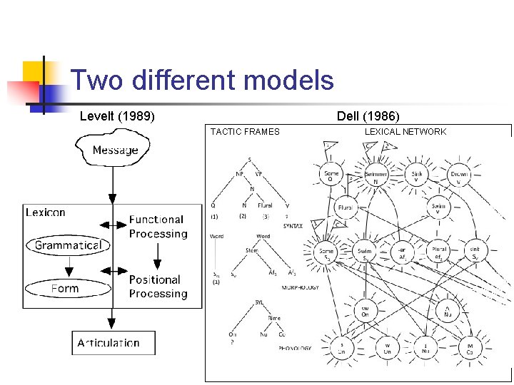 Two different models Levelt (1989) Dell (1986) TACTIC FRAMES LEXICAL NETWORK 