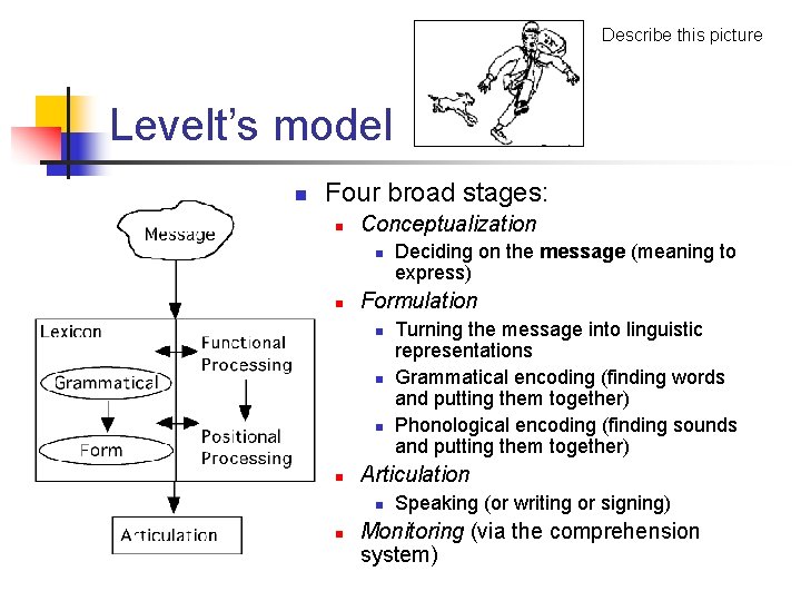 Describe this picture Levelt’s model n Four broad stages: n Conceptualization n n Formulation