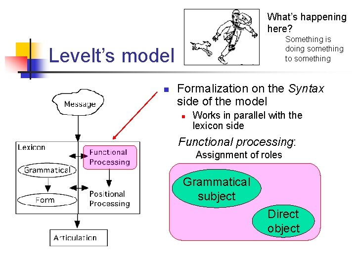 What’s happening here? Something is doing something to something Levelt’s model n Formalization on